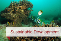 Sustainable Development